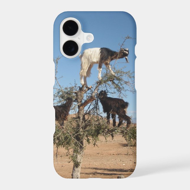 Funny goats in a tree (Back)