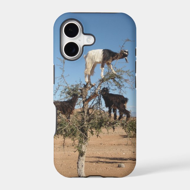 Funny goats in a tree (Back)