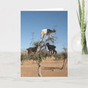 Funny goats in a tree card