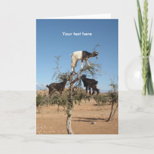 Funny goats in a tree holiday card