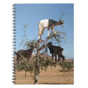 Funny goats in a tree notebook