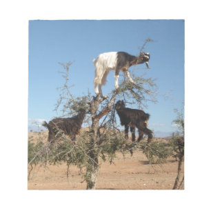 Funny goats in a tree notepad