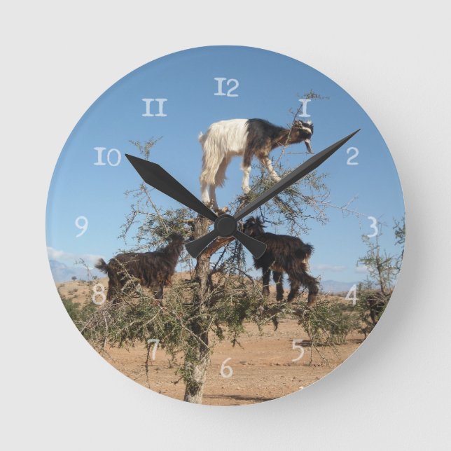 Funny goats in a tree round clock (Front)