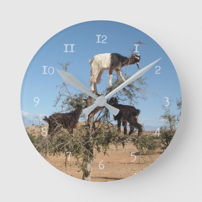 Funny goats in a tree round clock (Front)