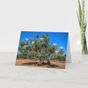 Funny Goats in Trees Card