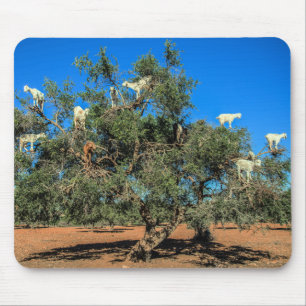 Funny Goats in Trees Morocco Mouse Pad