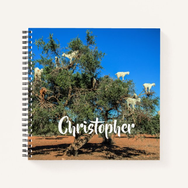 Funny Goats in Trees Morocco Personalised Name Notebook (Front)