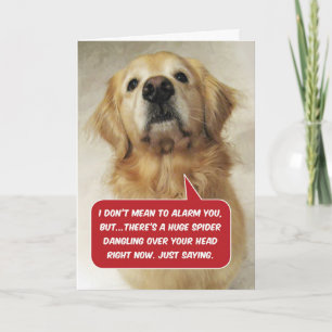 Funny Golden Retriever Arachnophobia- Birthday Card