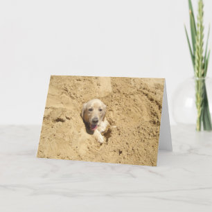 Funny Golden Retriever Card