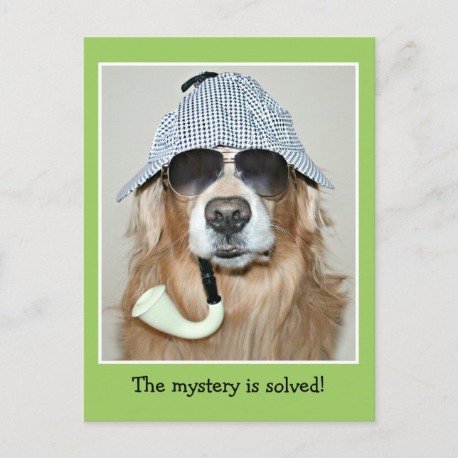 Funny Golden Retriever Detective Dog Birthday Postcard (Front)