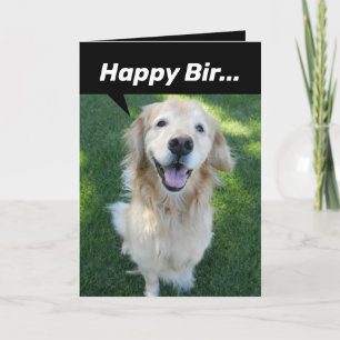 Funny Golden Retriever Distracted By Squirrel Card