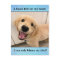 Funny Golden Retriever Dog Book Shelf Joke Meme