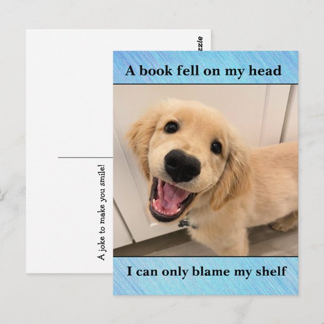 Funny Golden Retriever Dog Book Shelf Joke Meme Postcard (Front/Back)