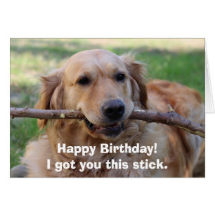 Funny Golden Retriever Dog Humour Happy Birthday