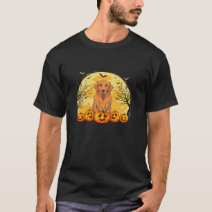 Funny Golden Retriever Dog Pumpkins Halloween Cost T-Shirt