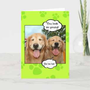 Funny Golden Retriever Golden Oldie Birthday Card