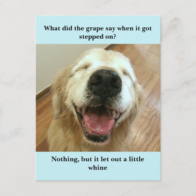 Funny Golden Retriever Grape Joke Meme Postcard (Front)