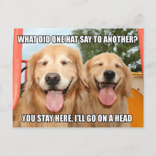 Funny Golden Retriever Hat Joke Meme Postcard