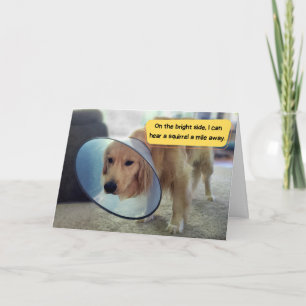 Funny Golden Retriever in Cone Get Well  Card