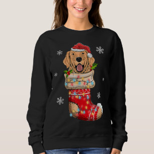 Funny Golden Retriever In Socks Christmas Dog Xmas Sweatshirt