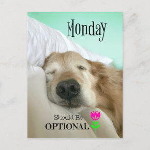 Funny Golden Retriever Monday Should be Optional Postcard