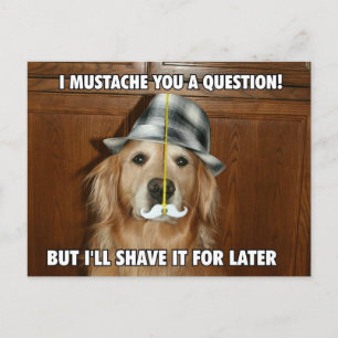 Funny Golden Retriever Moustache You a Question Postcard