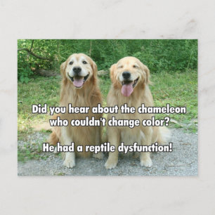 Funny Golden Retriever Reptile Dysfunction Joke Postcard