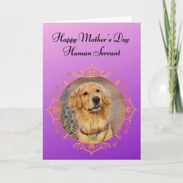 Funny Golden Retriever Rules the House Mothers Day Card (Front)