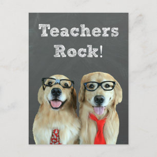 Funny Golden Retriever Teacher Appreciation Postcard