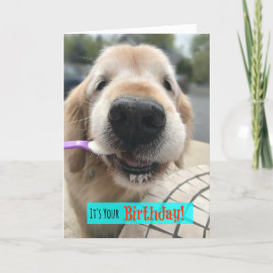 Funny Golden Retriever Treat Yo Self Birthday Card