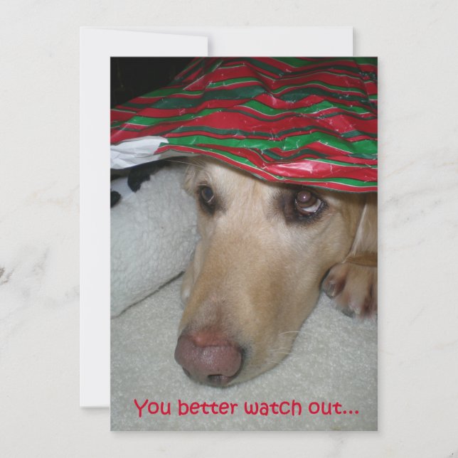 Funny Golden Retriever Watching for Santa  Holiday Card (Front)