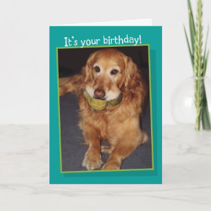 Funny Golden Retriever with Balls Birthday Card