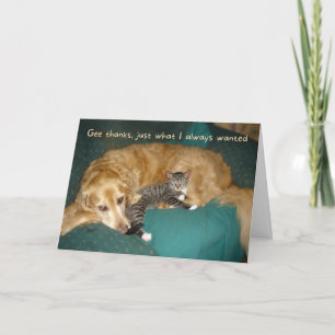 Funny Golden Retriever with Kitten Birthday Card