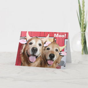 Funny Golden Retrievers in Cow Costumes Halloween Card