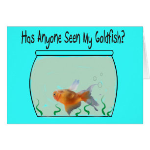 Funny Goldfish and Bowl