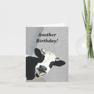 Funny Good News Cow Age Birthday Card