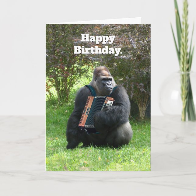 Funny Gorilla Accordion Player Birthday Card (Front)