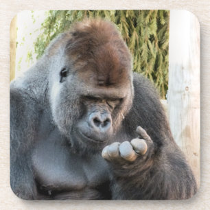 FUNNY GORILLA COASTER