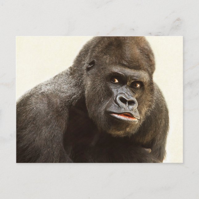 Funny Gorilla postcard (Front)