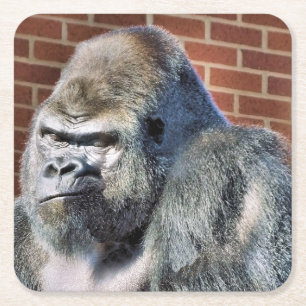 FUNNY GORILLA SQUARE PAPER COASTER