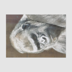 FUNNY GORILLA TISSUE PAPER