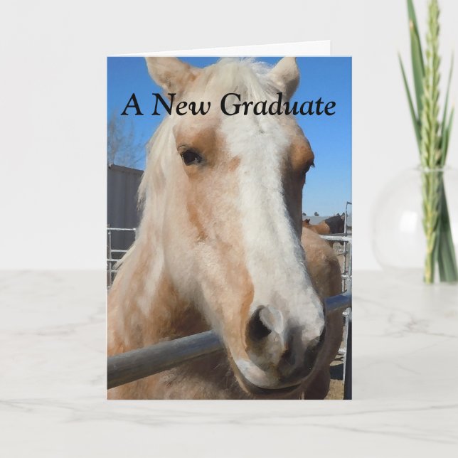 Funny Graduate Graduation Congratulations Horse Card (Front)