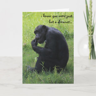 Funny Graduation, Chimpanzee Dreamer, Lemur Grad Card