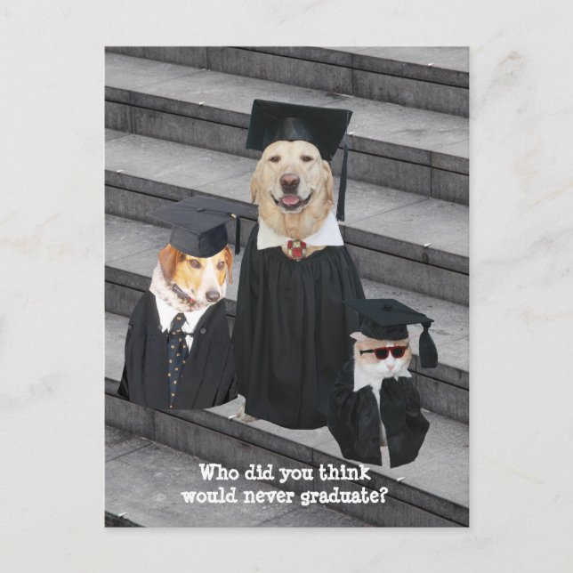 Funny Graduation Customisable Announcement Postcar (Front)