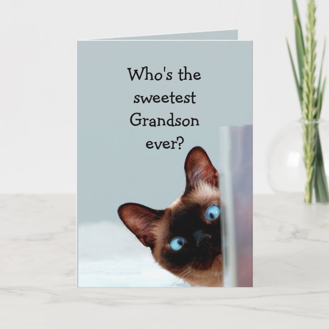 Funny Grandson Birthday Wishes Siamese Cat Card (Front)