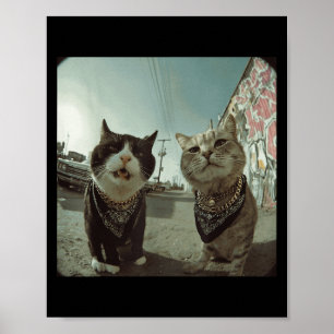 Funny Graphic Cat Gangster Funny _2 Poster