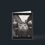 Funny Graphic Cat Gangster Funny  Card<br><div class="desc">Funny Graphic Cat Gangster Funny</div>