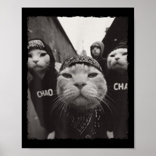 Funny Graphic Cat Gangster Funny Poster