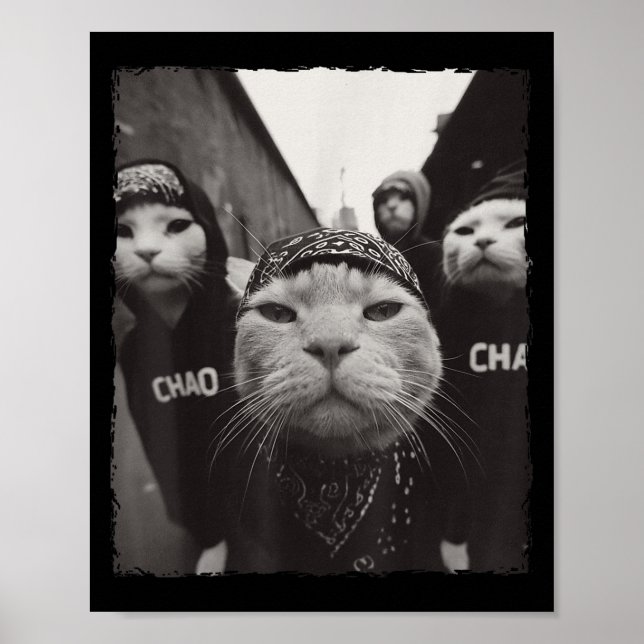Funny Graphic Cat Gangster Funny  Poster (Front)