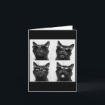 Funny Graphic Cat Photobooth Selfie Funny _5  Card<br><div class="desc">Funny Graphic Cat Photobooth Selfie Funny _5</div>
